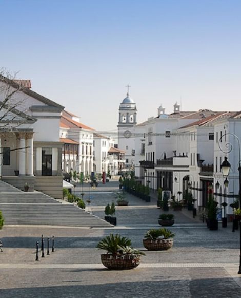 real estate template